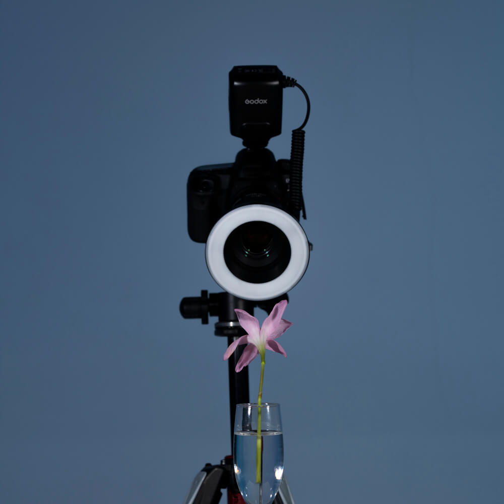 Godox ML-150 II Makro-Ringblitz